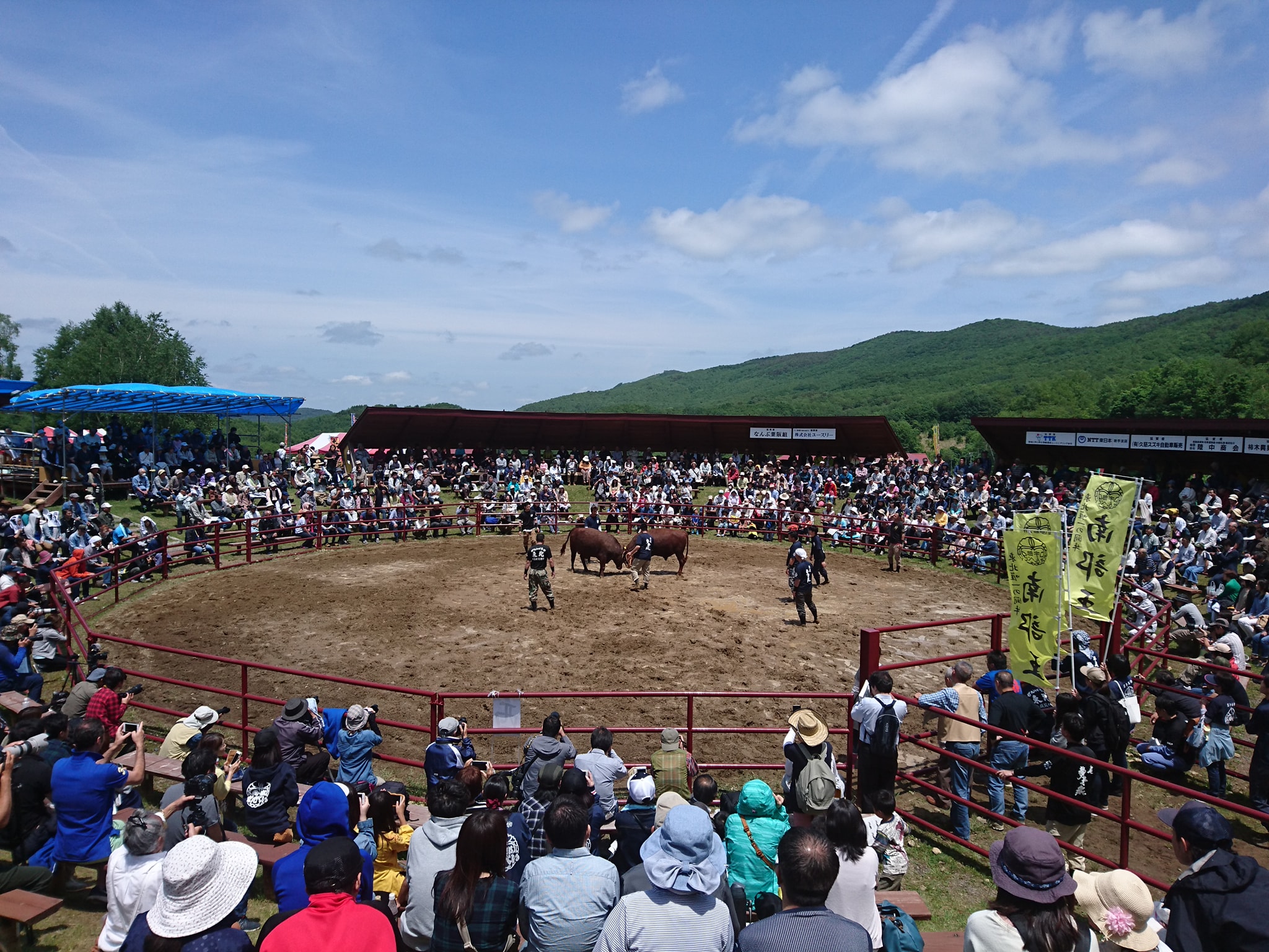 闘牛サポーター募集