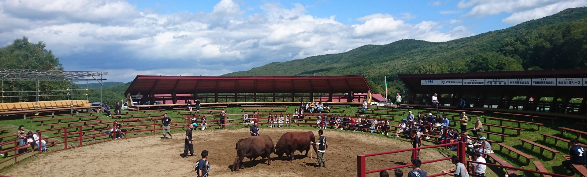 闘牛サポーター募集