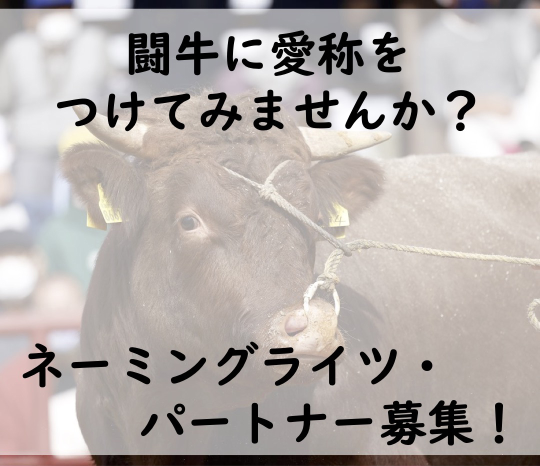 闘牛に愛称をつけてみませんか? ネーミングライツ・パートナー募集!